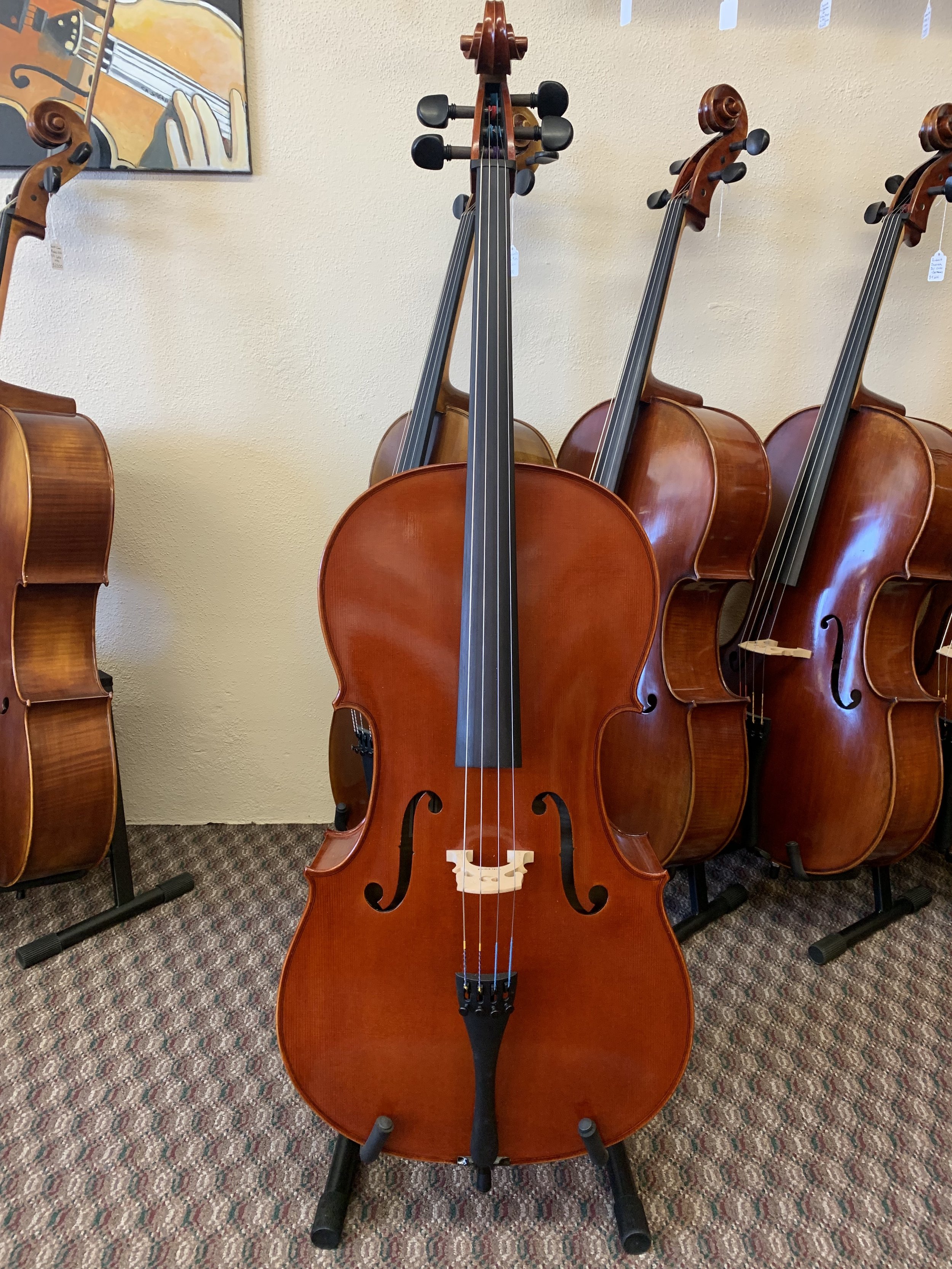 Jay Haide Model 101 4/4 Cello — Tulsa Strings Violin Shop